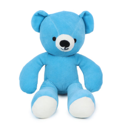 Teal Teddy Soft Toy