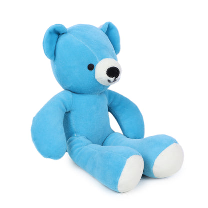 Teal Teddy Soft Toy